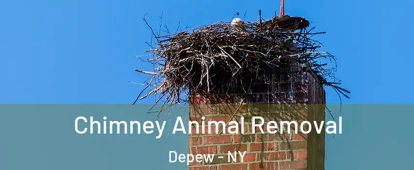 Chimney Animal Removal Depew - NY