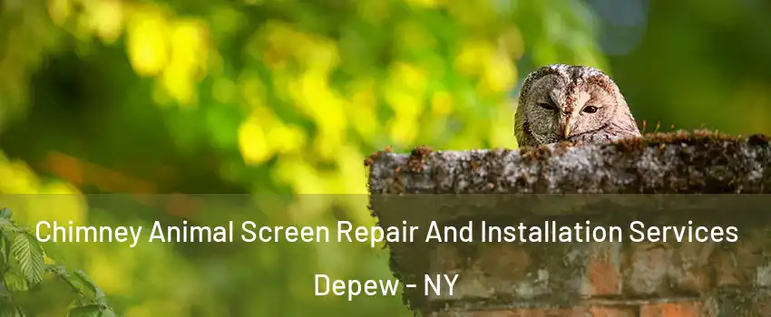  Chimney Animal Screen Repair And Installation Services Depew - NY