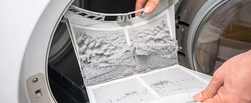 Best Dryer Lint Removal Company in Depew, New York