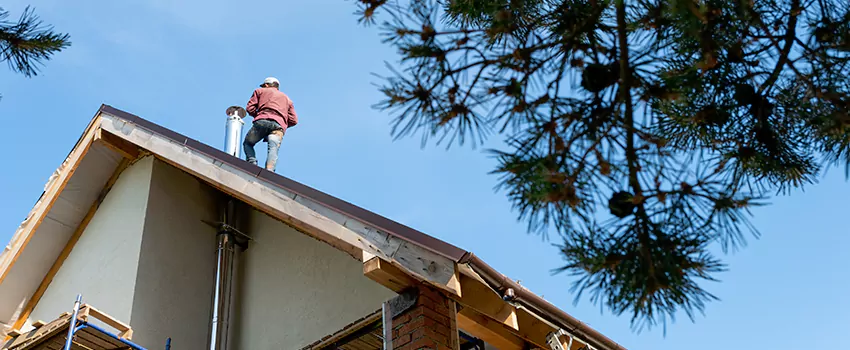 Birds Removal Contractors from Chimney in Depew, NY